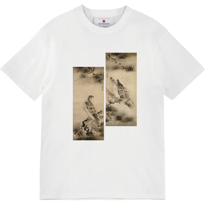 Falcons and Pines